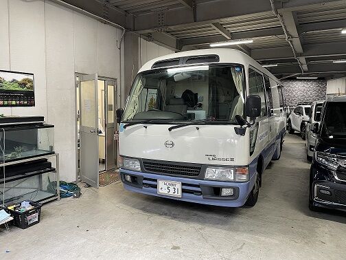 IMG-8517